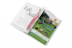 Yoga Ashram Flyer / Magazine