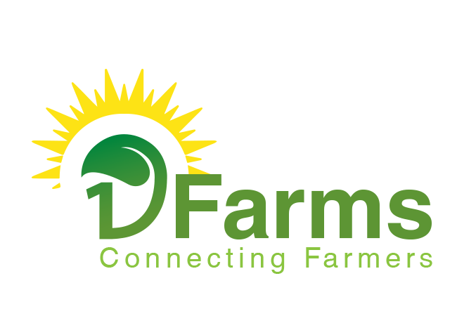 19 Farms Logo